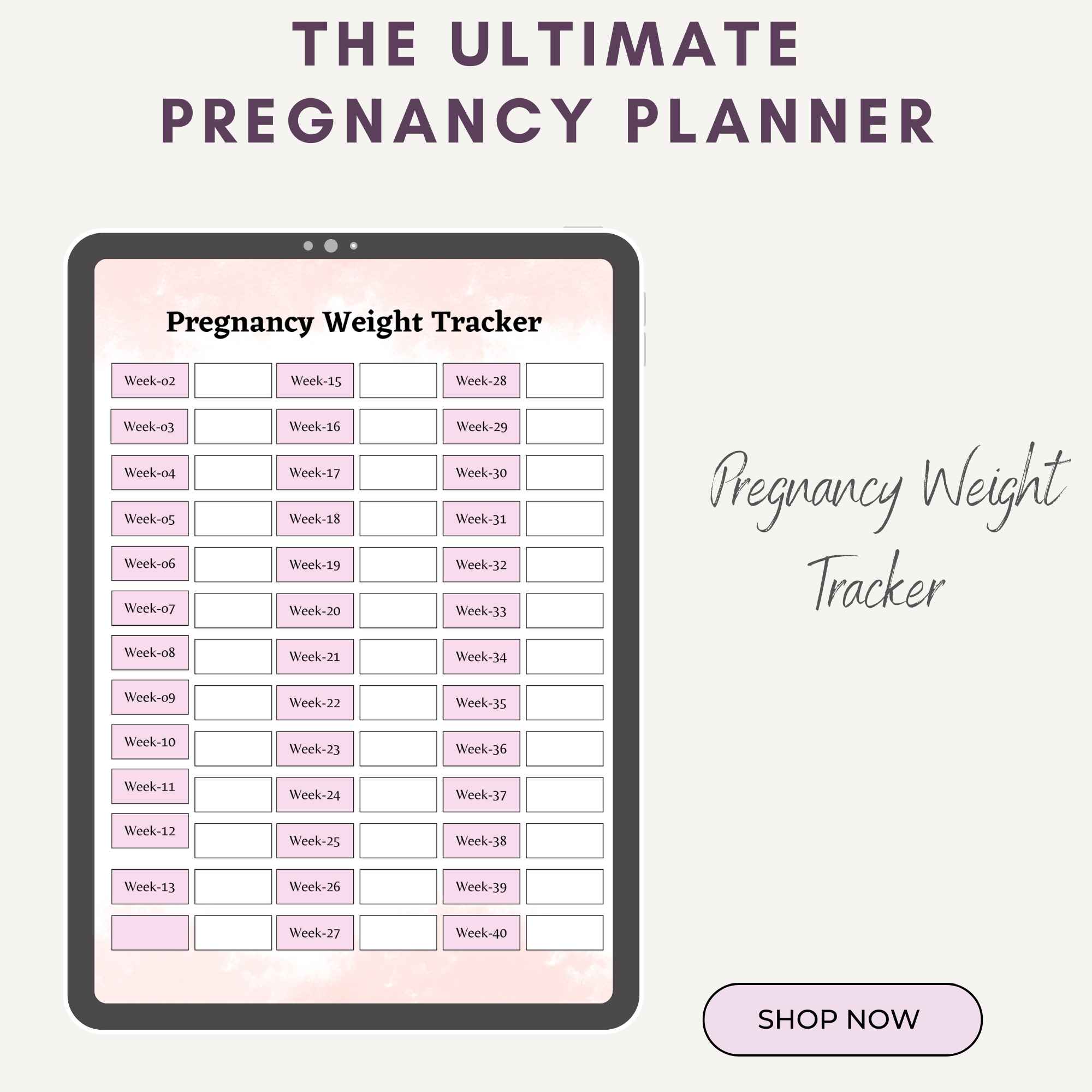 Printable Birth Plan Template